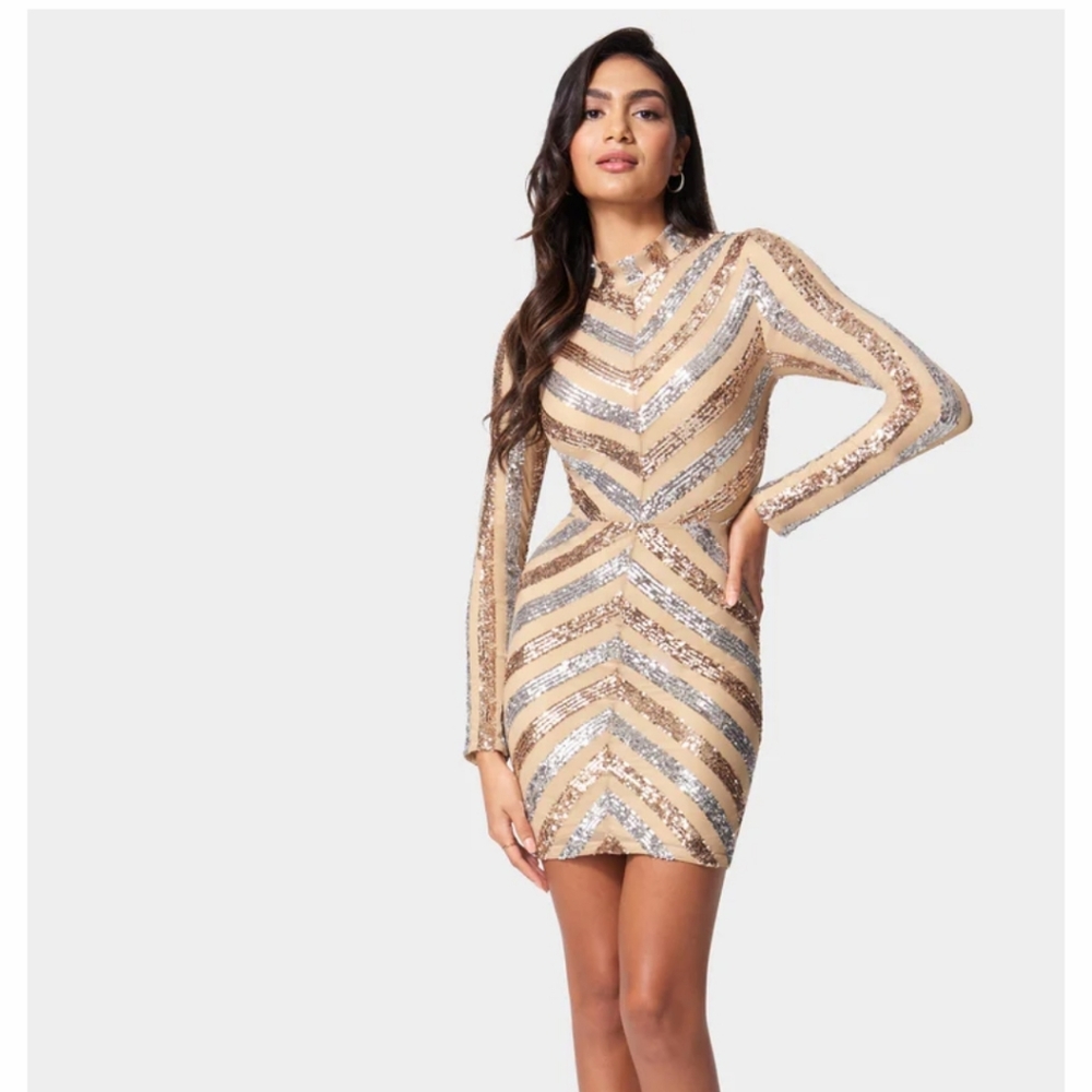 Bebe Stripe Sequin Mini Dress - Nude/Silver